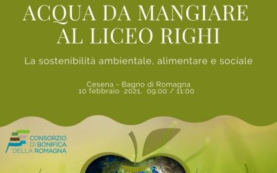 Consorzio di bonifica della Romagna – workshop on line coi ragazzi del liceo Righi di Cesena e Bagno di Romagna sui temi della sostenibilità ambientale e alimentare