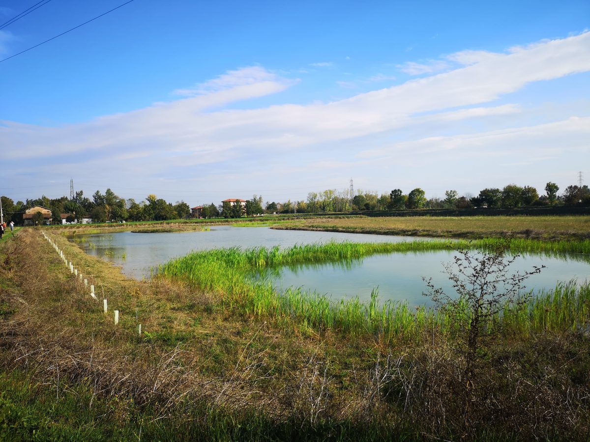 CANALE CAVATA ORIENTALE, IL PROGETTO LIFE RINASCE RESTITUISCE AL TERRITORIO UNA DELLE METE NATURALISTICHE PREFERITE