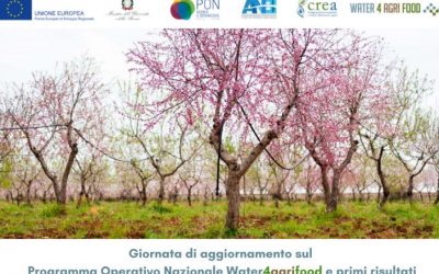 CONVEGNO “PROGRAMMA OPERATIVO NAZIONALE WATER4AGRIFOOD E PRIMI RISULTATI”