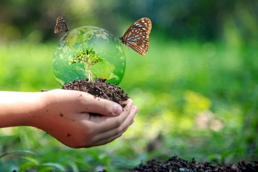 22 MARZO: GIORNATA MONDIALE DELLA BIODIVERSITA’. QUANTO VALGONO LE ATTIVITA’ AGRICOLE PER L’ ECOSISTEMA? SULL’APPENNINO LA PRIMA SPERIMENTAZIONE IN ITALIA