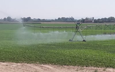 Nella Romagna Occidentale già distribuiti oltre 21 milioni di mc di acqua irrigua, il triplo rispetto al volume prelevato nel medesimo periodo dello scorso anno