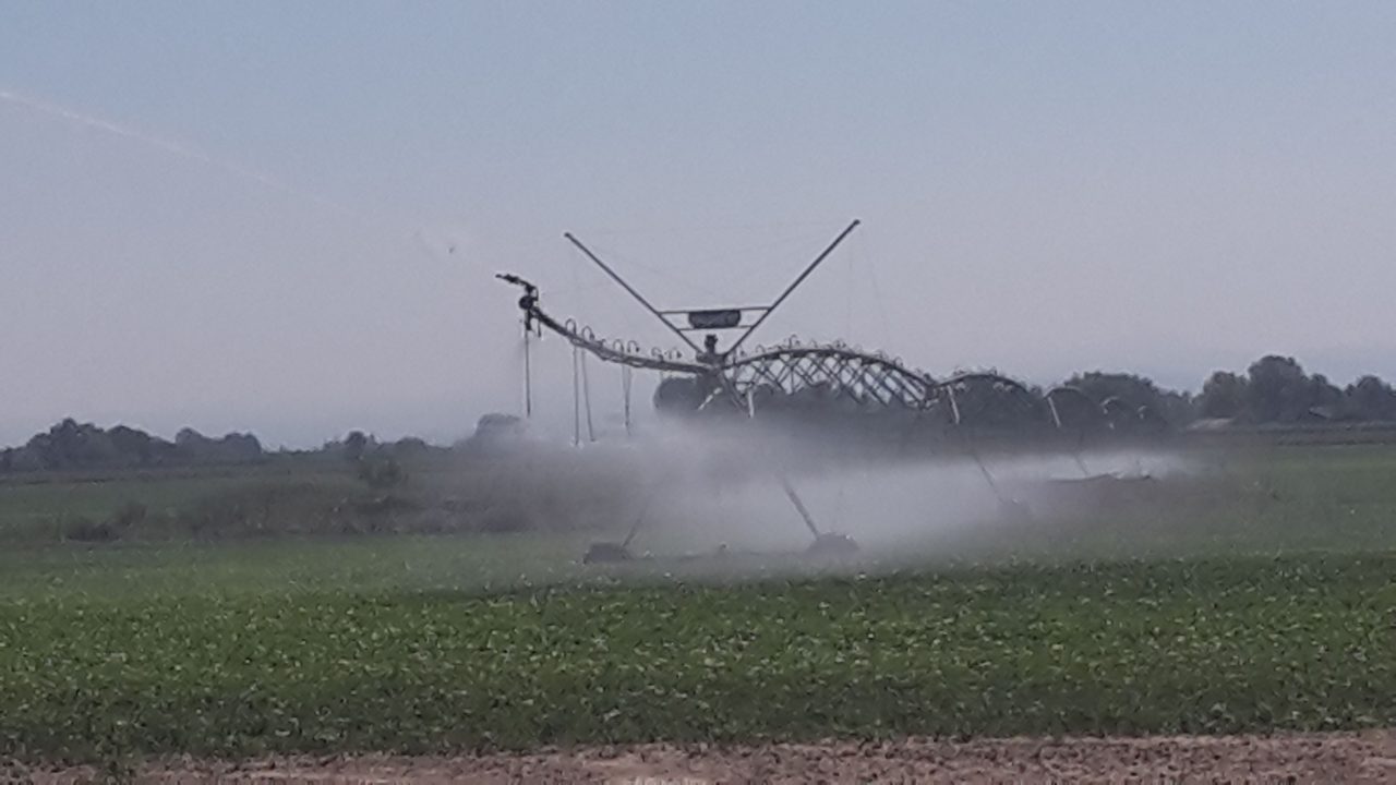 Allerta siccità nella Romagna Occidentale. Il Consorzio di bonifica è già operativo per scongiurare problemi al settore agricolo, che avrebbero ripercussioni su tutto il territorio.