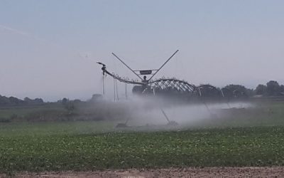 Allerta siccità nella Romagna Occidentale. Il Consorzio di bonifica è già operativo per scongiurare problemi al settore agricolo, che avrebbero ripercussioni su tutto il territorio.