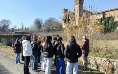 L’ESPERIENZA DEI CONSORZI AL SERVIZIO DELLA SCUOLA