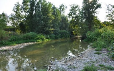 LOTTA ALLA SICCITA’: L’EMILIA ROMAGNA È UN LABORATORIO DI RESILIENZA