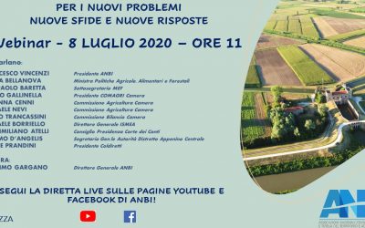 IL PIANO NAZIONALE DI ADEGUAMENTO DELLA RETE E DELLE OPERE IDRAULICHE AI CAMBIAMENTI CLIMATICI. OGGI, MERCOLEDI’ 8 LUGLIO 2020 – ORE 11.00 – 13.00 ASSEMBLEA ANBI 2020 on web