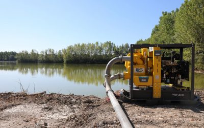 BONIFICA PARMENSE, ECCO L’ACQUA PER AGRICOLTURA E HABITAT DELLO SPELTA