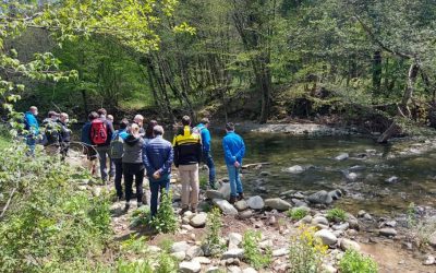 LA TRANSIZIONE ECOLOGICA PARTE DAL  BASSO: NASCONO LE PASSEGGIATE PROGETTANTI FRANCESCO VINCENZI, Presidente ANBI “L’ARNO È UN LABORATORIO DI GESTIONE PARTECIPATA, ESEMPIO PER UN PAESE NUOVO E MIGLIORE”