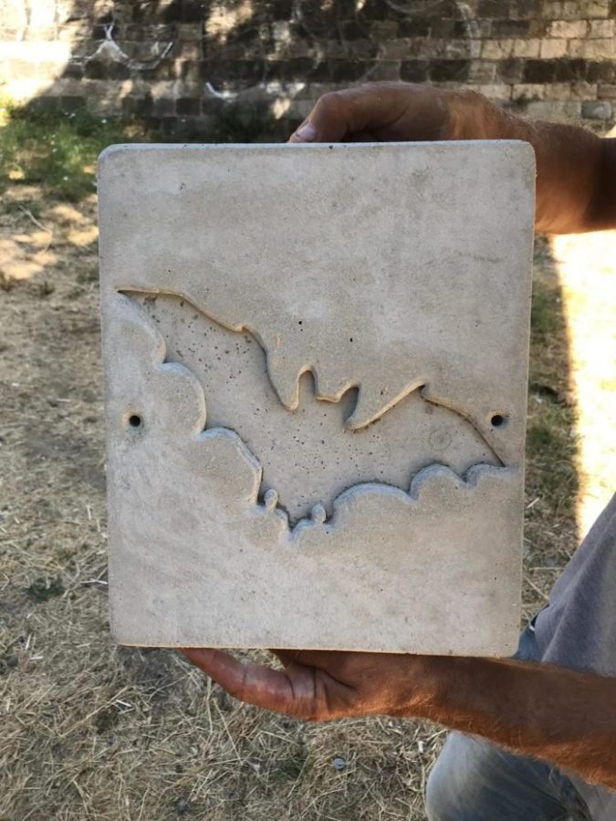 #CALDOTORRIDO. FIRENZE COME GOTHAM CITY: ATTENDESI PIPISTRELLI. SPECIALI BATBOX ANTIZANZARE INSTALLATE SUL TORRENTE MUGNONE