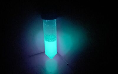 13 di 78.681 IL DRAMMA IDRICO CENTROSUD E’ UN MONITO PER IL PAESE – PRESENTATE LE NUOVE FRONTIERE DELLA RICERCA ANBI-UNIVERSITA’