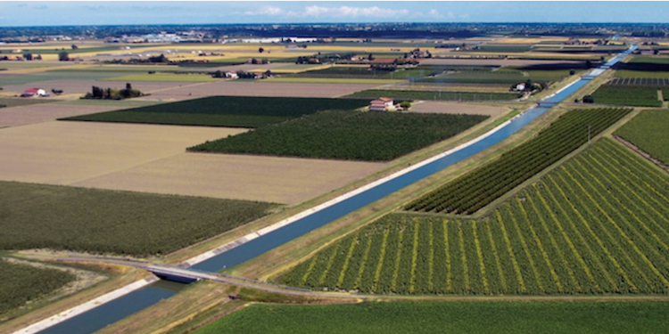 LA RICERCA IRRIGUA ITALIANA PROTAGONISTA AL FORUM FAO WASAG