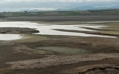 IL TAVOLIERE DELLE PUGLIE E’ ORMAI SENZ’ACQUA – BRUTTO SEGNALE PER L’ECONOMIA AGRICOLA ITALIANA