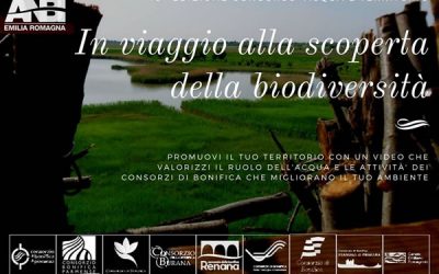 10^ Edizione del Concorso Acqua e Territorio