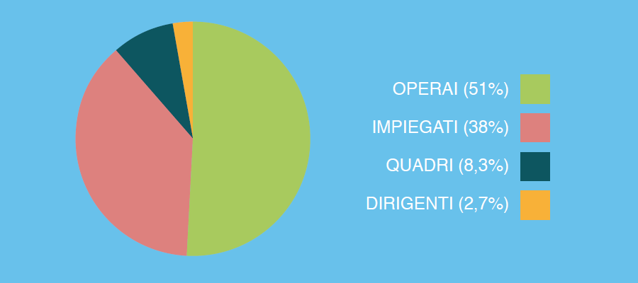 Conoscenze e professionalità