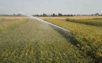 Contro la perdurante siccità già operativo il Consorzio di bonifica. Pronti ad attivare anche i sistemi irrigui per i trattamenti antibrina, allo scopo di scongiurare le perdite di produzione causate dalle gelate