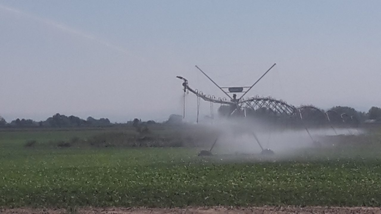 Due nuovi distretti irrigui nell’imolese. Nel complesso saranno serviti oltre 2.000 ettari a beneficio di 241 aziende agricole