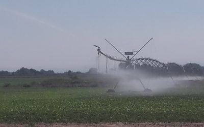 Due nuovi distretti irrigui nell’imolese. Nel complesso saranno serviti oltre 2.000 ettari a beneficio di 241 aziende agricole