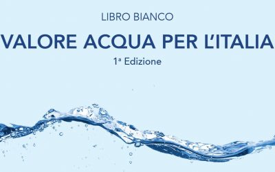 ANBI ANNUNCIA UN PIANO NAZIONALE STRATEGICO PER LE RISORSE IDRICHE A SERVIZIO DEL TERRITORIO. MASSIMO GARGANO, DG ANBI. “LE DECISIONI SULL’UTILIZZO DELLE RISORSE IDRICHE DEVONO ESSERE SOSTENUTE DALLA CONOSCENZA: IN ITALIA, IL CIBO È IRRIGUO”