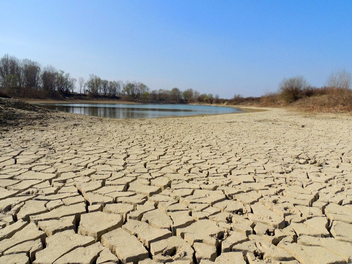 SICCITA’,UN’EMERGENZA DIMENTICATA: NONOSTANTE LE PIOGGE NON SI INVERTE IL TREND NEGATIVO GRAVE DEFICIT IDRICO IN VENETO DOVE SI E’ RASCHIATO IL FONDO DEL BARILE –  FRANCESCO VINCENZI – “QUANTOMAI OPPORTUNO IL RINVIO DEL DEFLUSSO ECOLOGICO”   