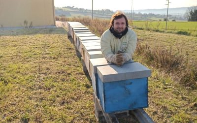 L’ITALIA IDRICAMENTE CAPOVOLTA I CONSORZI DI BONIFICA IN SOCCORSO DELLE API PER IL FUTURO DEL PIANETA, L’ESEMPIO ARRIVA DALLE MARCHE