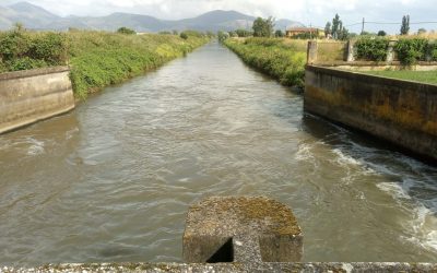 ACQUA CHE SCENDE, ACQUA CHE SALE: IL TOBOGA DELLE RISORSE IDRICHE IL REPORT DELL’OSSERVATORIO ANBI