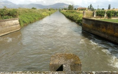 ACQUA CHE SCENDE, ACQUA CHE SALE: IL TOBOGA DELLE RISORSE IDRICHE IL REPORT DELL’OSSERVATORIO ANBI