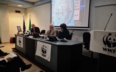 ANBI PROPONE UNA COALIZIONE PER IL TERRITORIO. MASSIMO GARGANO “PER SUPERARE LA LOGICA DEGLI STATI D’EMERGENZA SERVE UNA GRANDE AZIONE COLLETTIVA PER SOLLECITARE POLITICHE DI PREVENZIONE DALLE CALAMITA’ NATURALI OGGI ACCENTUATE DAI CAMBIAMENTI CLIMATICI”