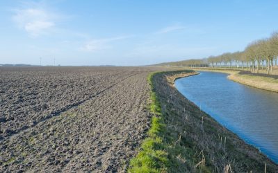 IL CONTO ENERGIA DEI CONSORZI DI BONIFICA E’ IN ATTIVO EPPURE PAGANO BOLLETTE SEMPRE PIU’ SALATE