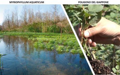 TOSCANA, LABORATORIO AMBIENTALE A CIELO APERTO