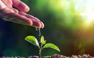 SI TERRA’ A ROMA SEDE ANBI KICK OFF PROGETTO EUROPEO SU IMPORTANTI INNOVAZIONI RICERCA ITALIANA