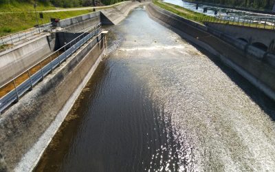 L’IRRIGAZIONE È UN DECISIVO FATTORE ECONOMICO, AMBIENTALE E PAESAGGISTICO. I DATI DELL’IMPATTO ECONOMICO SULL’AGRICOLTURA PER LA PRODUZIONE DI CIBO