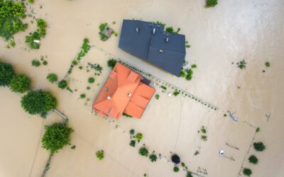 Emergenze tra mitigazione del rischio da dissesto idrogeologico, incendi e siccità: esperti a confronto | MERCOLEDÌ 31.05.2023 ORE 9 SAVOIA REGENCY HOTEL BOLOGNA