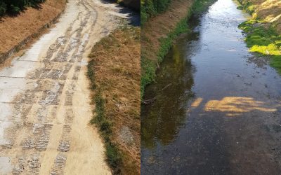 Biodiversità, il Crostolo torna a respirare: l’Emilia Centrale immette 60 mila metri cubi d’acqua in 48 ore