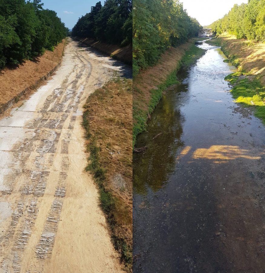 Biodiversità, il Crostolo torna a respirare: l’Emilia Centrale immette 60 mila metri cubi d’acqua in 48 ore