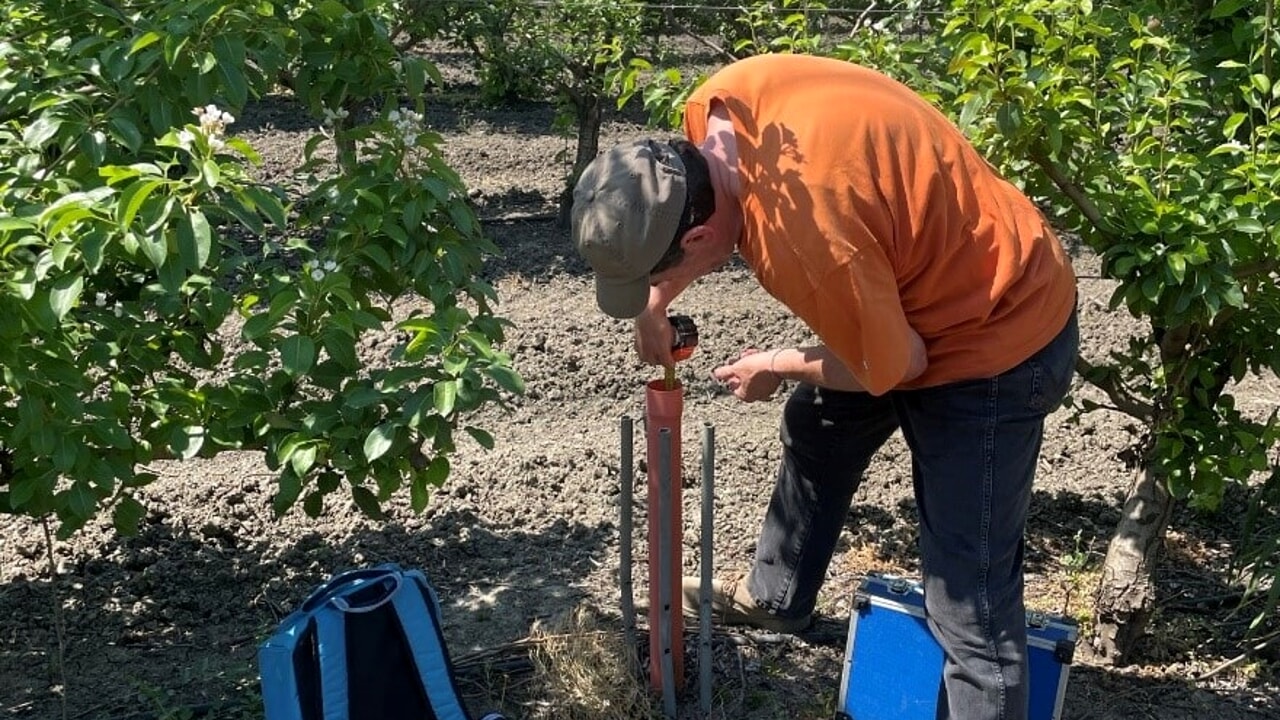 FALDA FREATICA: ALTE TEMPERATURE, ASSENZA DI PIOGGE E INTENSA UMIDITÀ ABBASSANO ANCORA I LIVELLI IN EMILIA-ROMAGNA