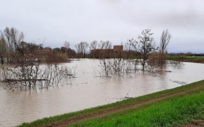 FIUME SECCHIA, RAGGIUNTA PORTATA STORICA A BONDANELLO: 11,70 METRI!