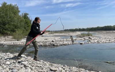Bonifica Parmense, migliora la qualità delle acque della rete irrigua consortile