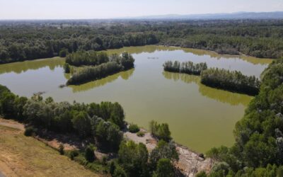 Siccità, la Bonifica Parmense si mobilita per garantire il servizio irriguo a tutela dei prodotti tipici della Food Valley