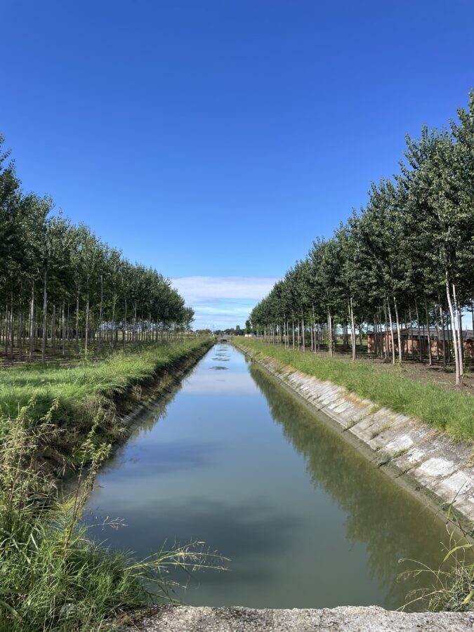 CANALE EMILIANO ROMAGNOLO, PER L’ASTA IN SINISTRA RENO 20 MILIONI DAL MIT