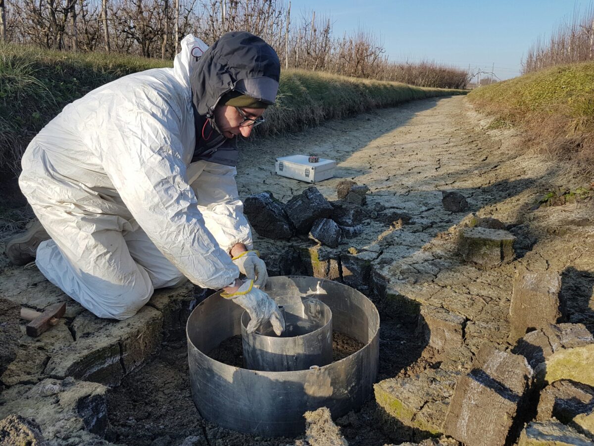 DELTA DEL PO: CER, BONIFICA PIANURA FE E UNIBO UNITI PER IL CONTRASTO AL CUNEO SALINO GRAZIE AL PROGETTO GESTFALDA