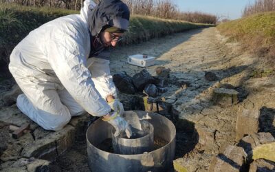 DELTA DEL PO: CER, BONIFICA PIANURA FE E UNIBO UNITI PER IL CONTRASTO AL CUNEO SALINO GRAZIE AL PROGETTO GESTFALDA