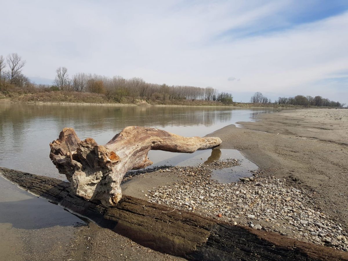 OSSERVATORIO ANBI SULLE RISORSE IDRICHE: CROLLANO LE PORTATE DEL PO E DEI FIUMI DEL NORD ITALIA