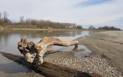 OSSERVATORIO ANBI SULLE RISORSE IDRICHE: CROLLANO LE PORTATE DEL PO E DEI FIUMI DEL NORD ITALIA