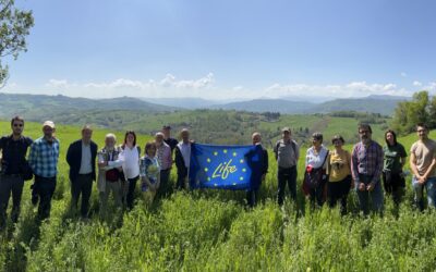 L’esempio virtuoso di LIFE agriCOlture protagonista alla COP28