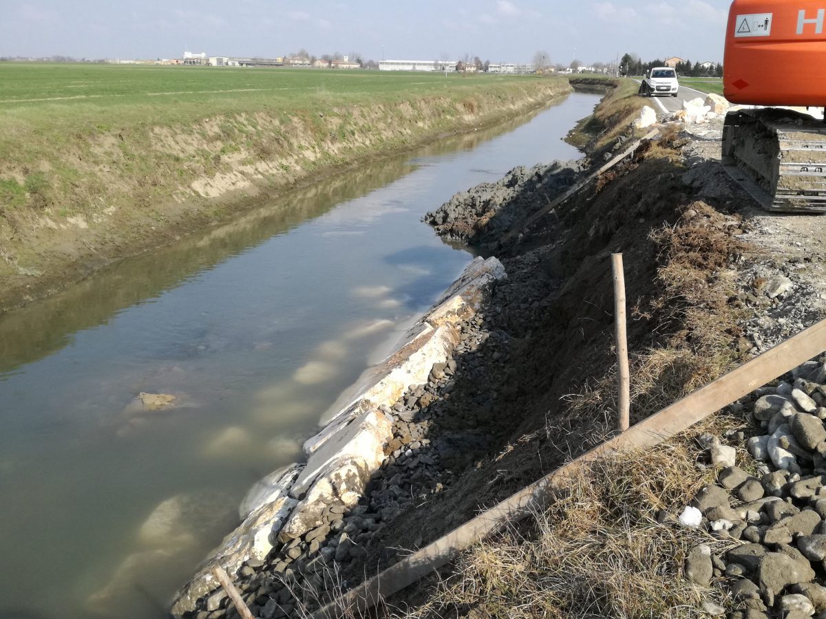 NUTRIE, ANBI EMILIA-ROMAGNA: COSTI ESORBITANTI E ALTI RISCHI. L’INDAGINE DI ANBI ER: SERVE UN’AZIONE COORDINATA PER ERADICARE QUESTO ANIMALE DANNOSO CHE HA SUPERATO IL MEZZO MILIONE DI ESEMPLARI