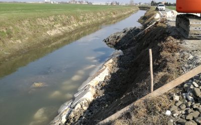 NUTRIE, ANBI EMILIA-ROMAGNA: COSTI ESORBITANTI E ALTI RISCHI. L’INDAGINE DI ANBI ER: SERVE UN’AZIONE COORDINATA PER ERADICARE QUESTO ANIMALE DANNOSO CHE HA SUPERATO IL MEZZO MILIONE DI ESEMPLARI