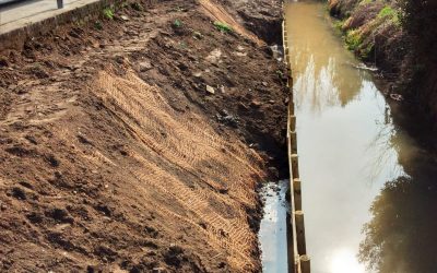 I CANALI IRRIGUI LOMBARDI, BENI COMUNI E GIACIMENTI DI BIODIVERSITA’: I CONSORZI DI BONIFICA REALIZZANO LE “FROG POOL”