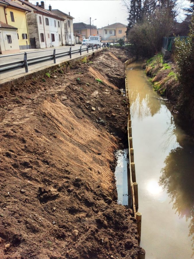 I CANALI IRRIGUI LOMBARDI, BENI COMUNI E GIACIMENTI DI BIODIVERSITA’: I CONSORZI DI BONIFICA REALIZZANO LE “FROG POOL”