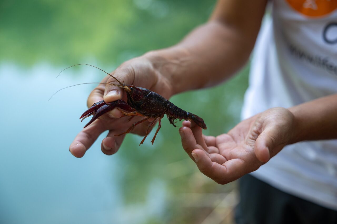 AL VIA LA COLLABORAZIONE TRA IL PROGETTO LIFE CLAW E L’UNIVERSITA’ DI PARMA