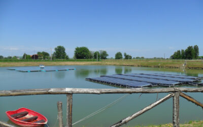 Romagna Occidentale (Lugo, Faenza e Imola): il programma della Settimana Nazionale della Bonifica e dell’Irrigazione